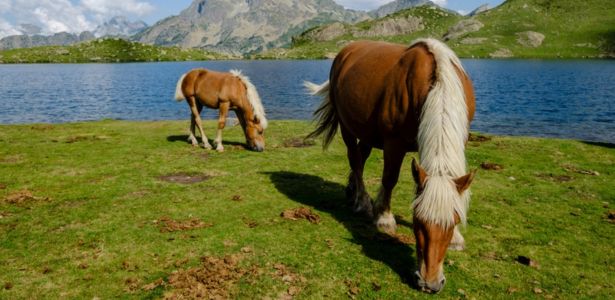 Le GR10 dans les Pyrénées : un éventail de paysages