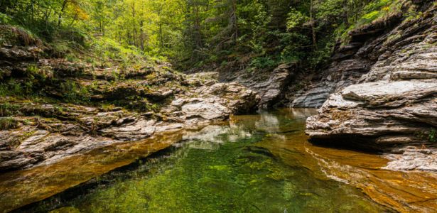 Le chemin de Stevenson dans les Cévennes : un voyage littéraire