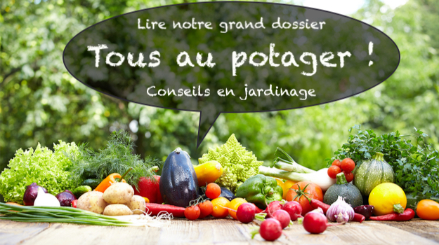 potager