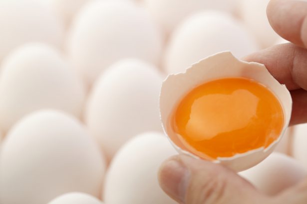 nettoyer avec des oeufs