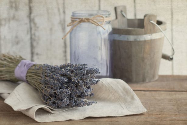 sachet de lavande antimite naturel