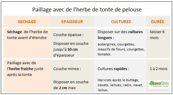 paillage-herbe-tonte