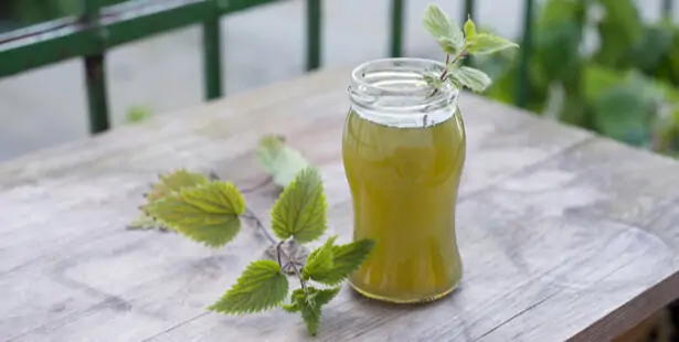 bidon de purin d’ortie filtré pour jardiner naturellement