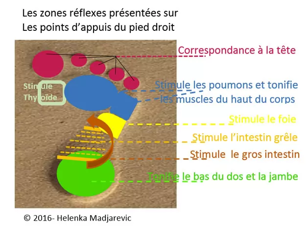 zones-réflexes-points-d-appuis