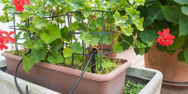 Arrosage goutte à goutte en kit