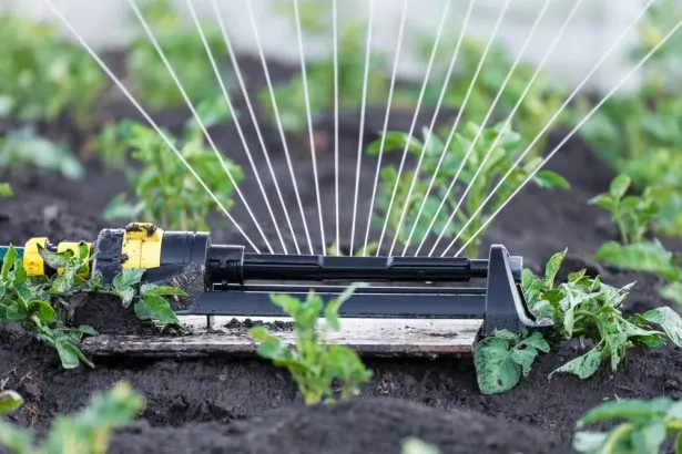 Jardin xéropaysager fleuri et résistant au manque d'eau