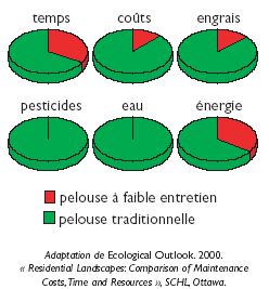 Pelouse sobre nécessitant moins d'eau et d'entretien au jardin