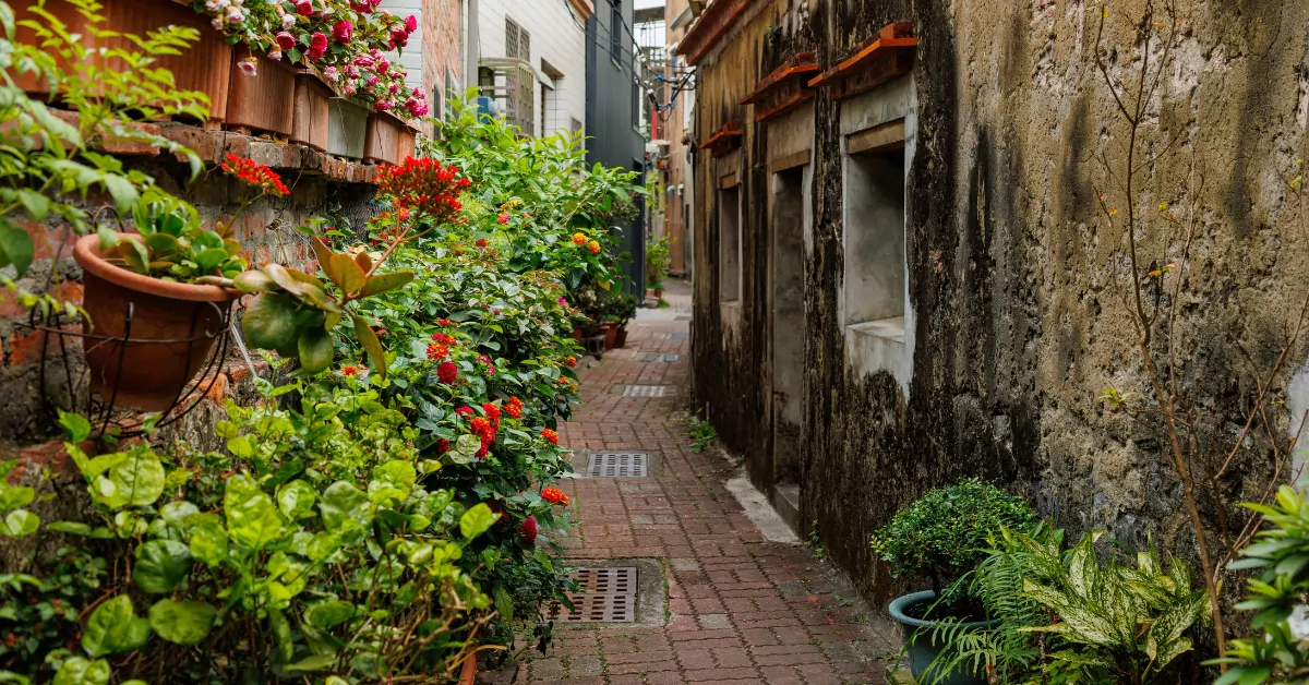 In this French village, residents and plants bring life back to a once-mineral alley.