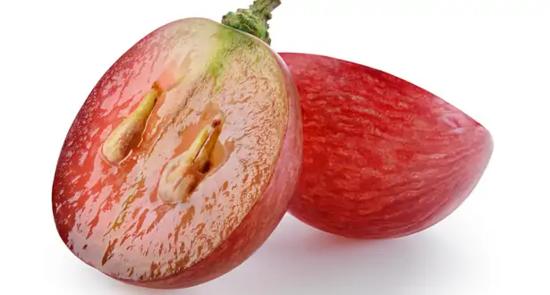 Seeds recovered from ripe grapes