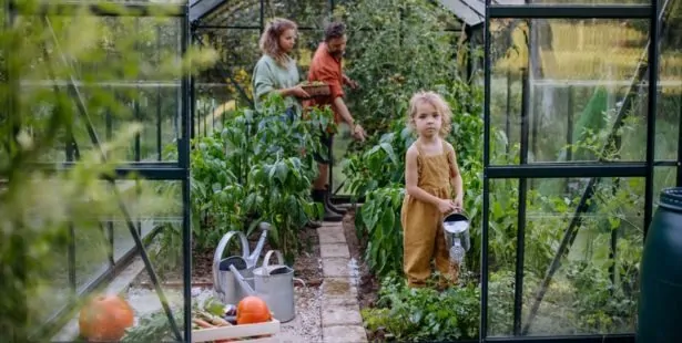 Que semer et bouturer sous serre en automne ?