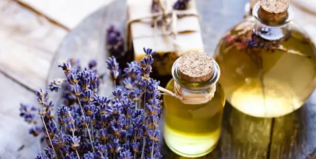 Flacon d'huile essentielle de lavande pour soins cosmétiques