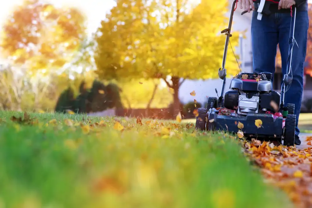 Tondre sa pelouse en automne